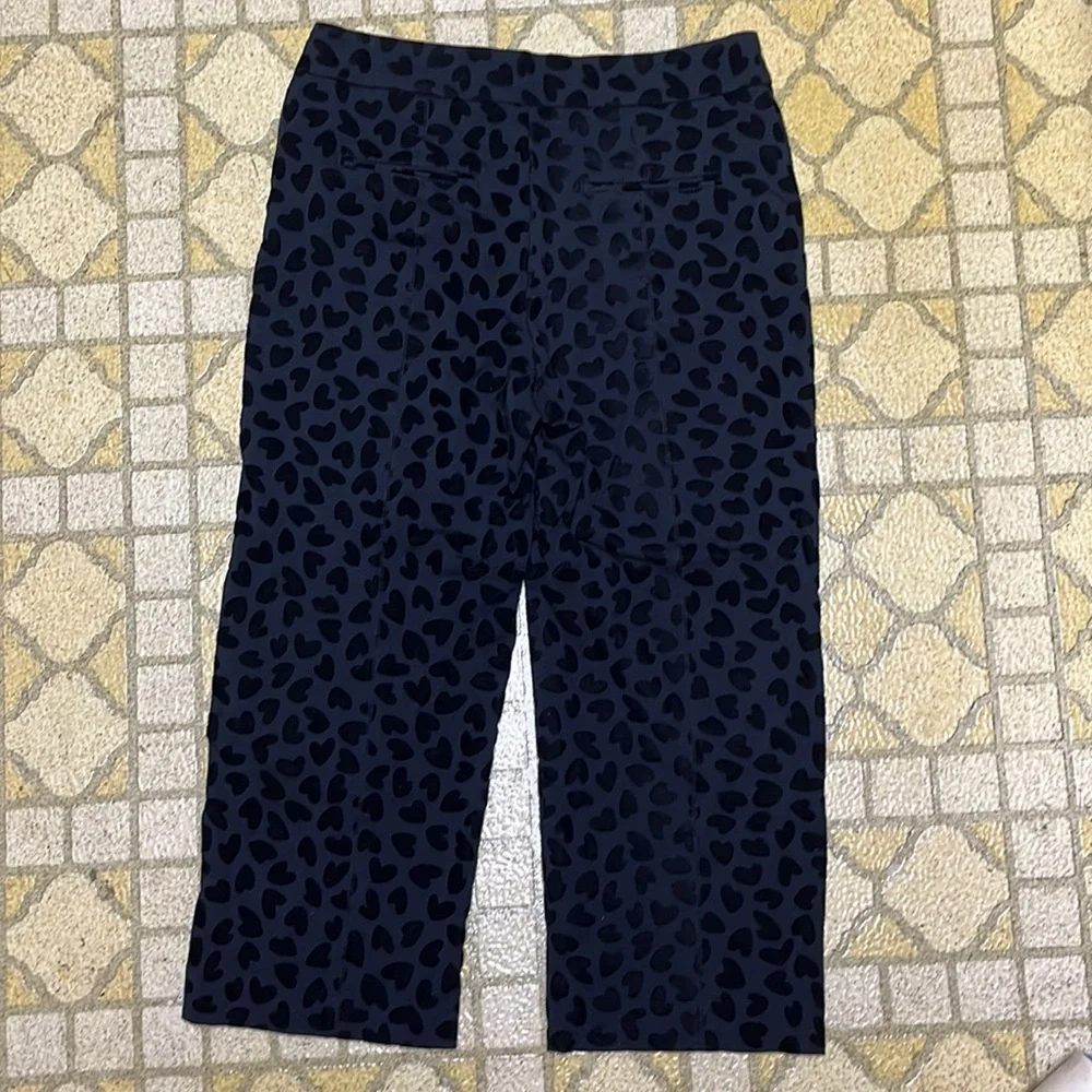 Two EUC velour, capris, one Ann Taylor/ one A.N.A - Picture 7 of 16